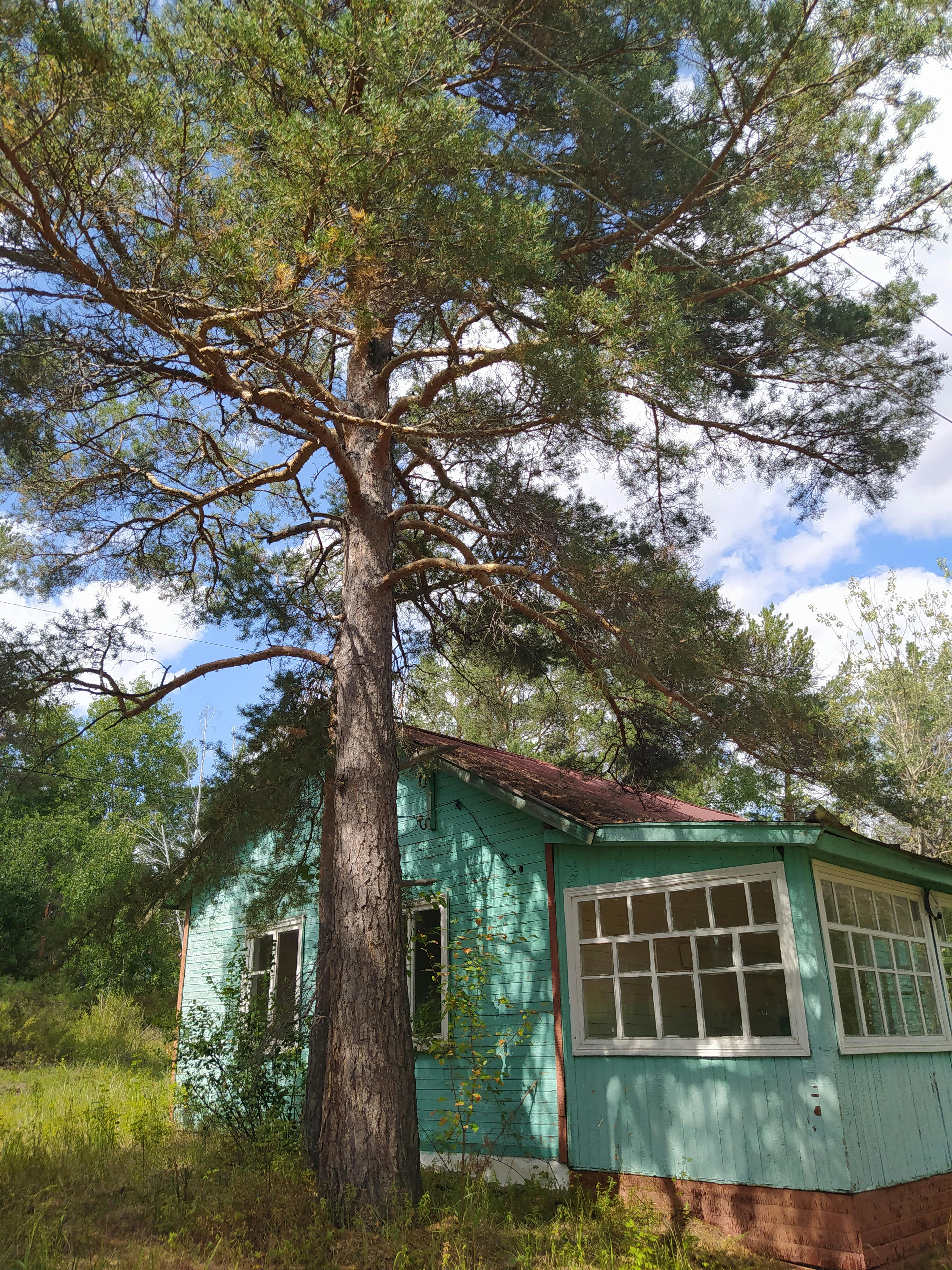 Short-term rental property